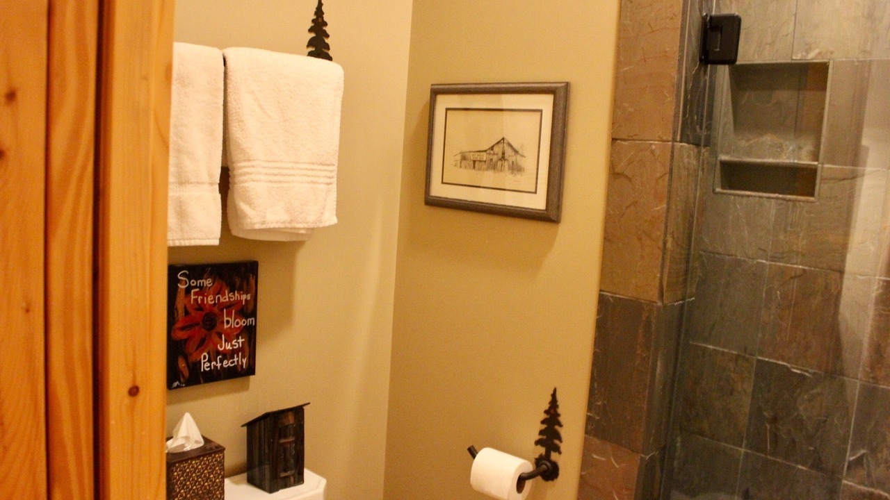 Photo of Bathroom in Pisgah