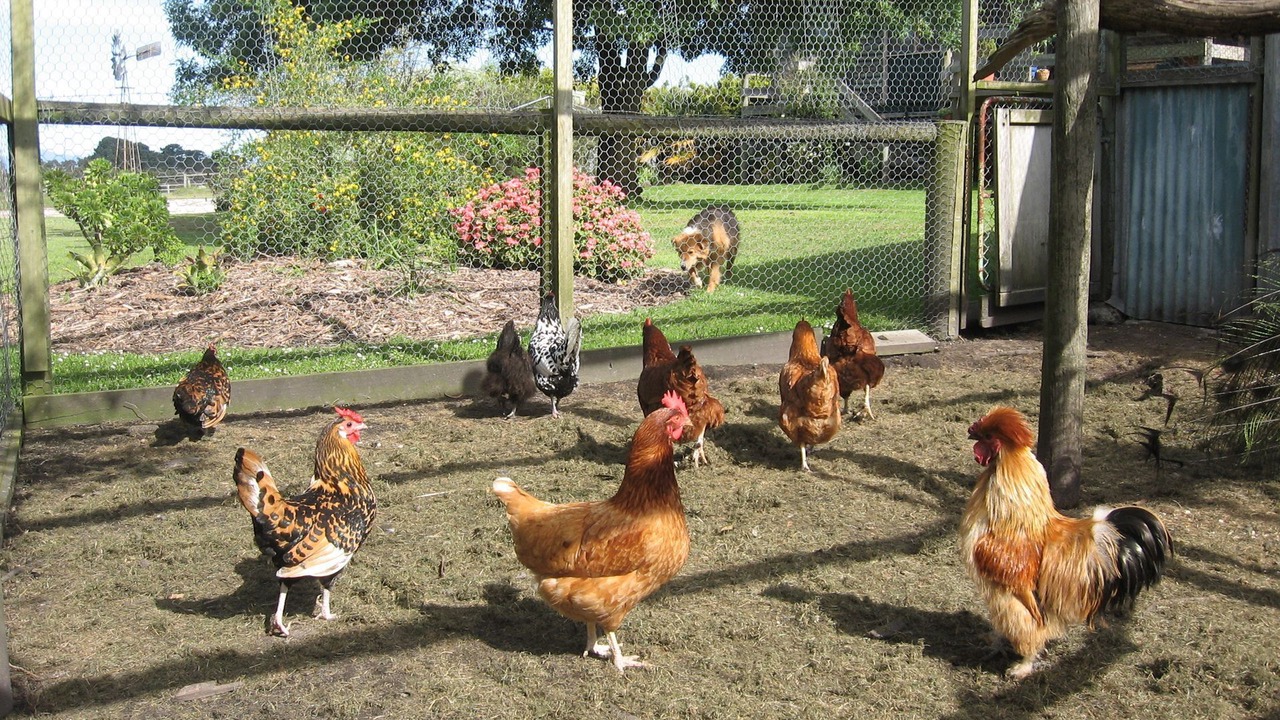 Photo of Outdoor in Fish Creek