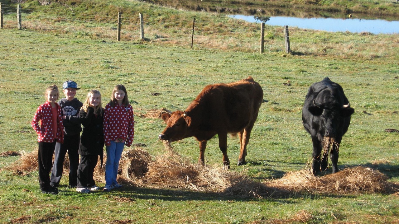 Photo of Outdoor in Fish Creek