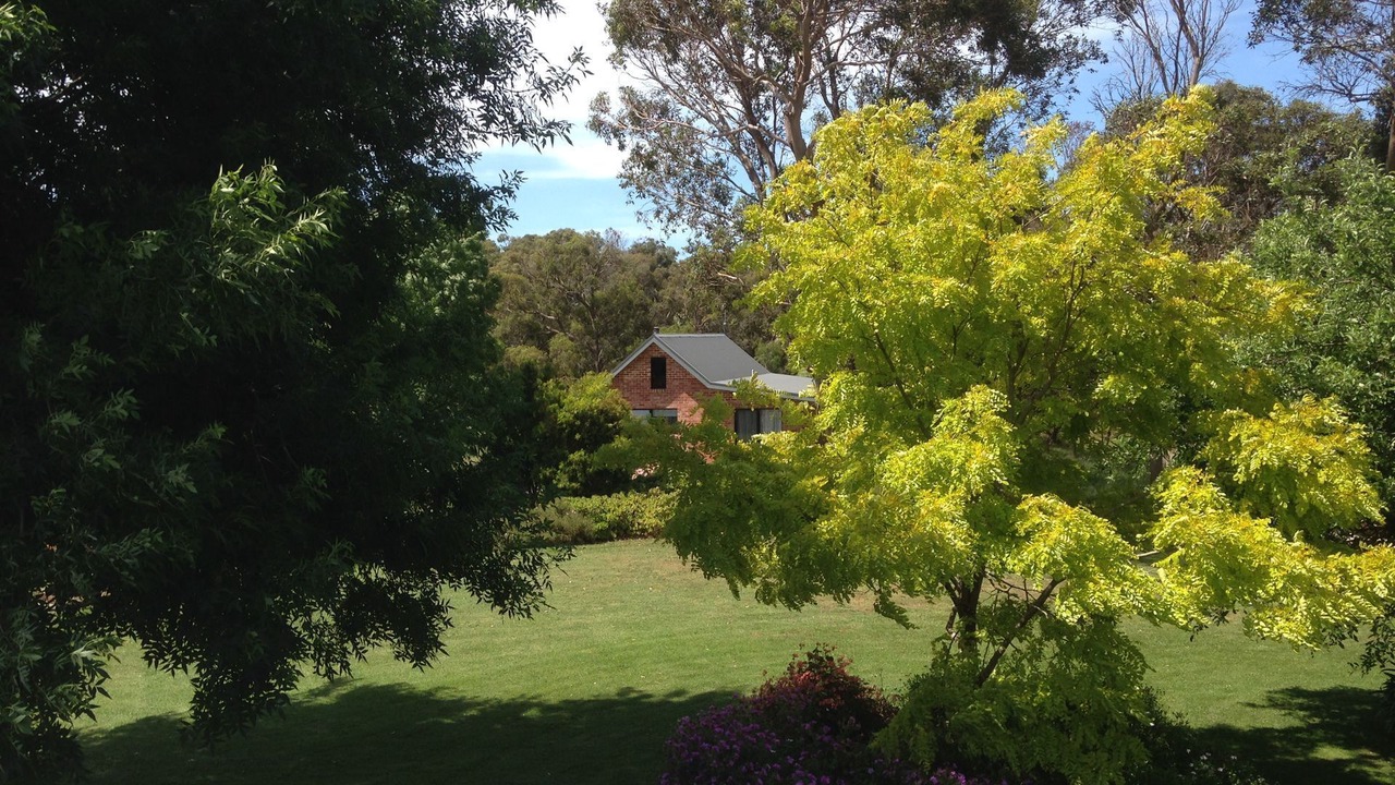 Photo of Outdoor in Fish Creek