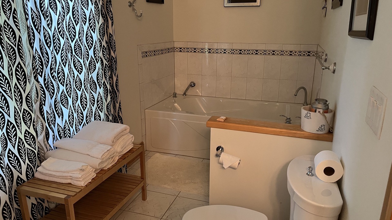 Photo of Bathroom in The Galena Territory