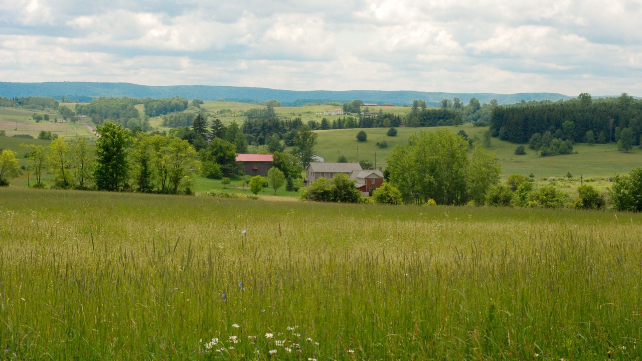 Photo of Others in Mansfield