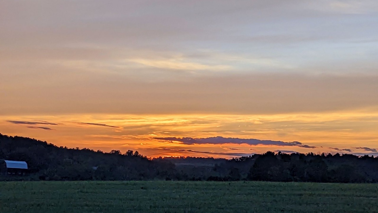 Photo of Outdoor in Mansfield