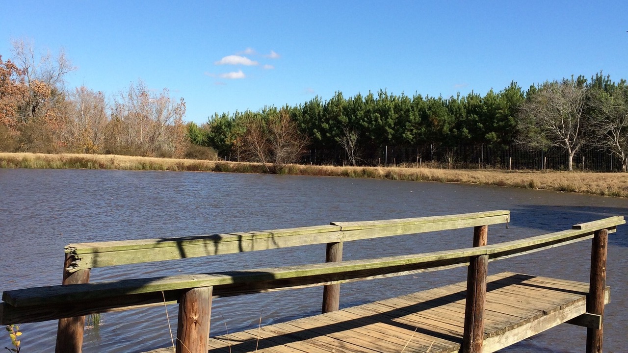 Photo of Outdoor in Montalba