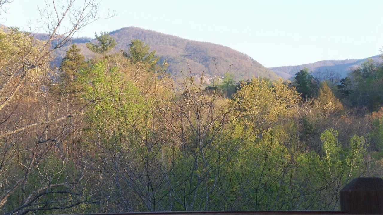 Photo of Others in Lake Lure