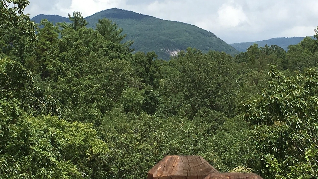 Photo of Others in Lake Lure
