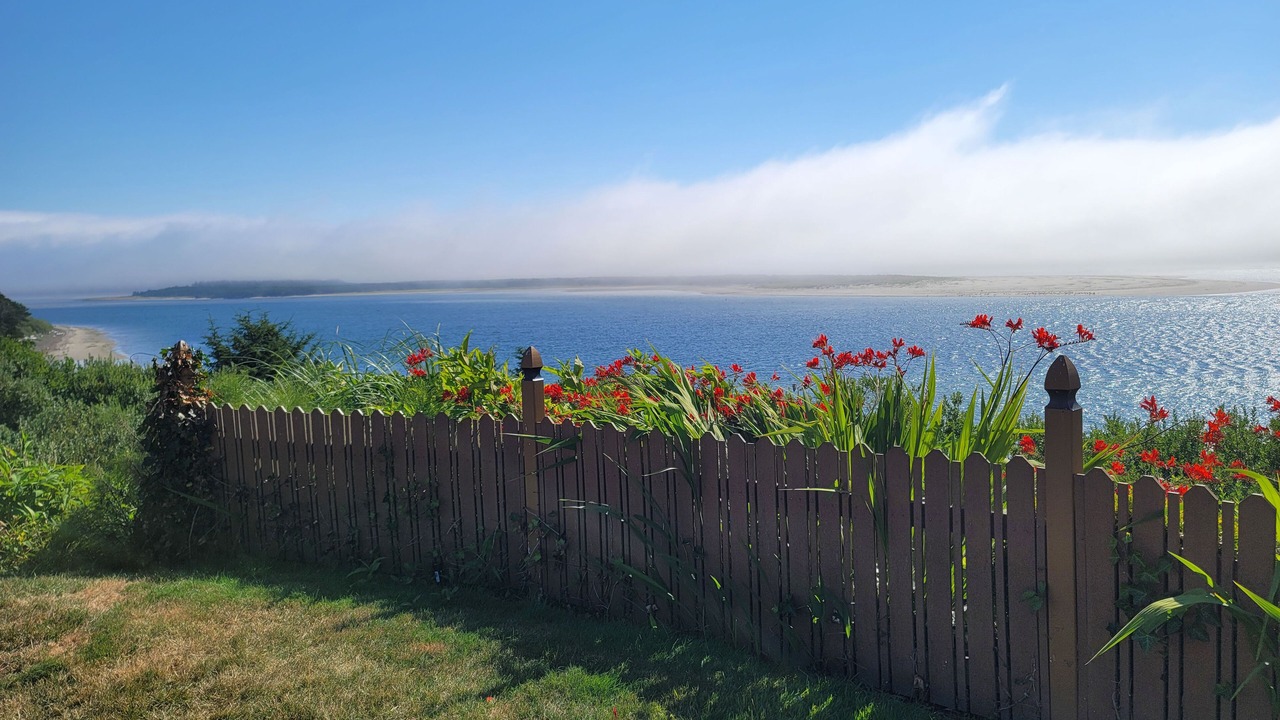 Photo of Outdoor in Netarts