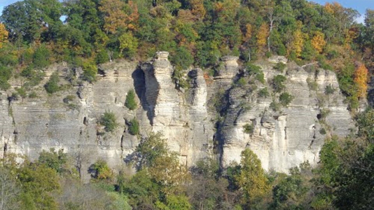 Photo of Others in Anna