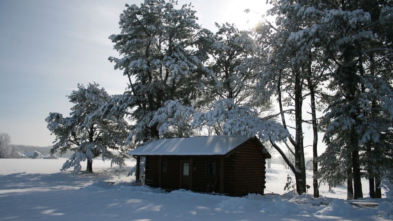 Photo of Others in Anna