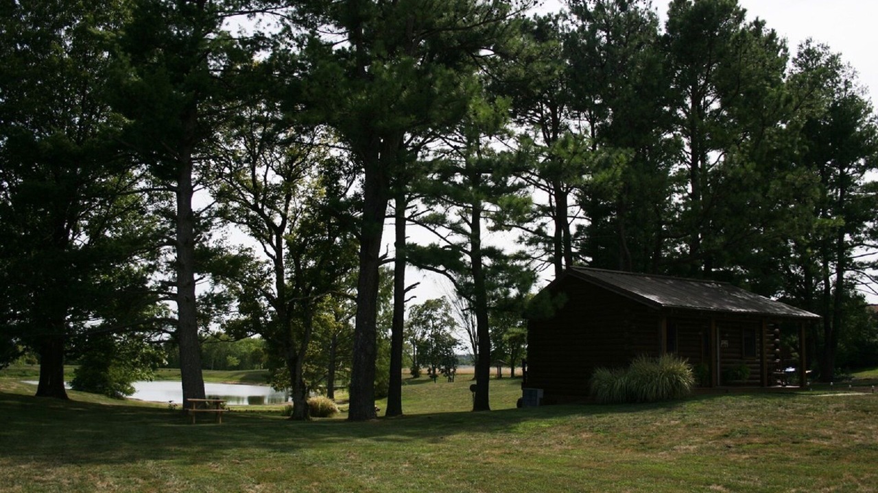 Photo of Others in Anna