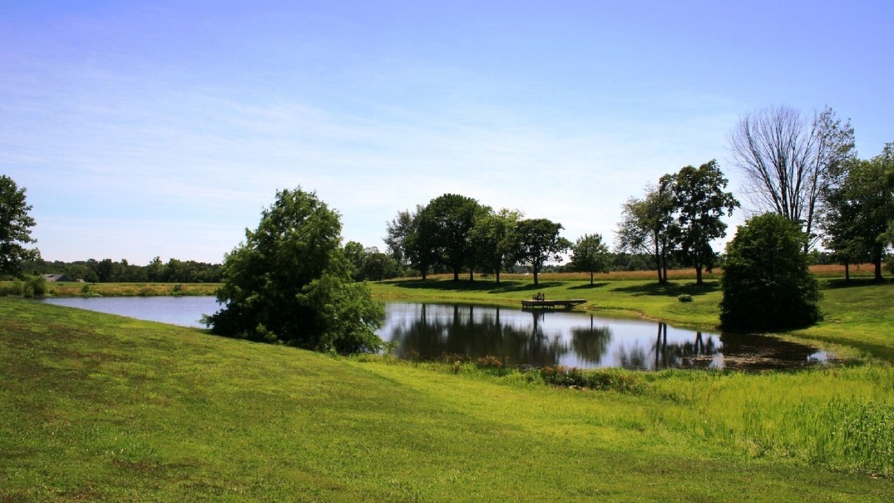 Photo of Others in Anna