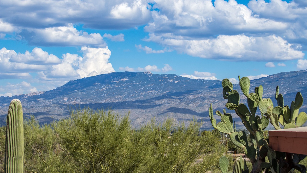 Photo of Others in Tanque Verde