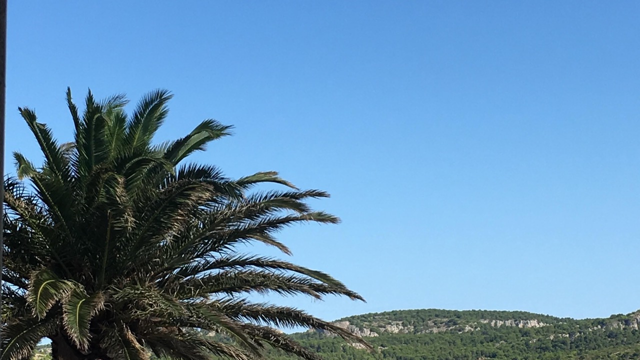 Photo of Others in Gruissan