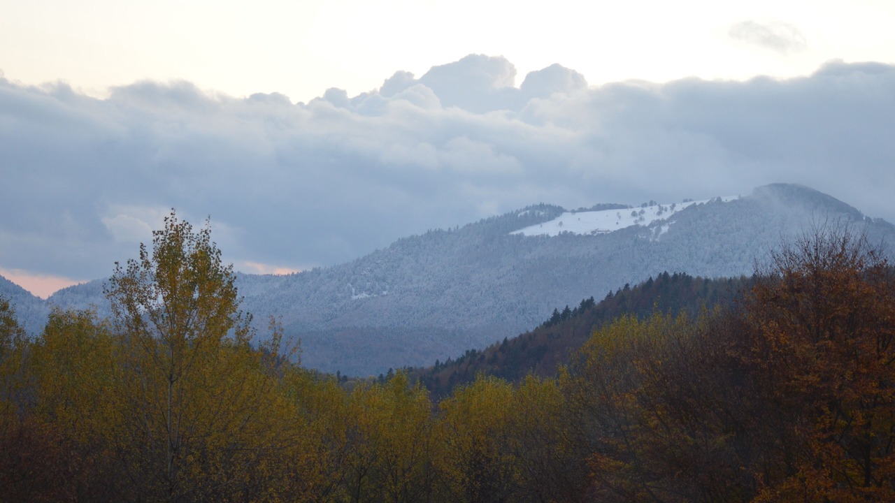 Photo of Others in Willer-sur-Thur