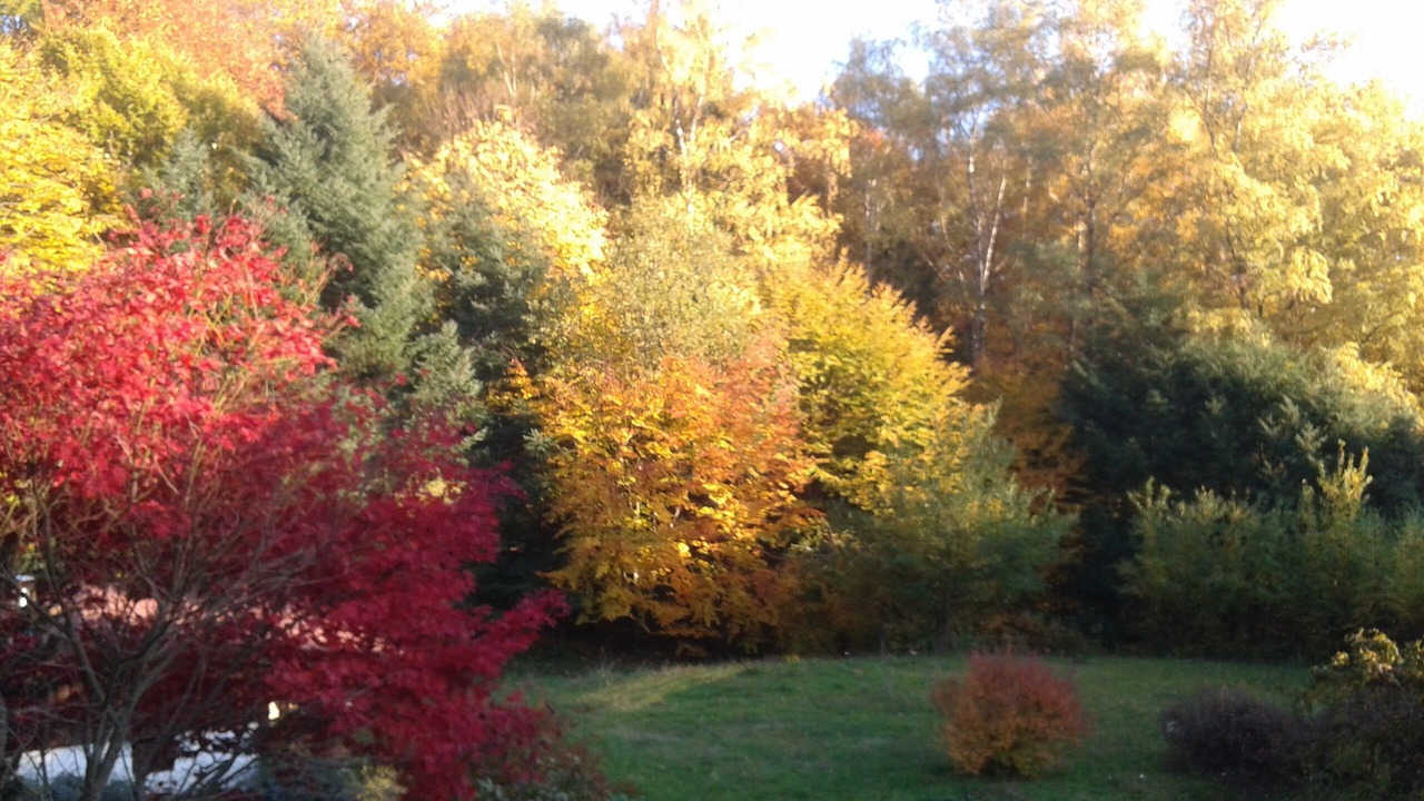 Photo of Outdoor in Willer-sur-Thur