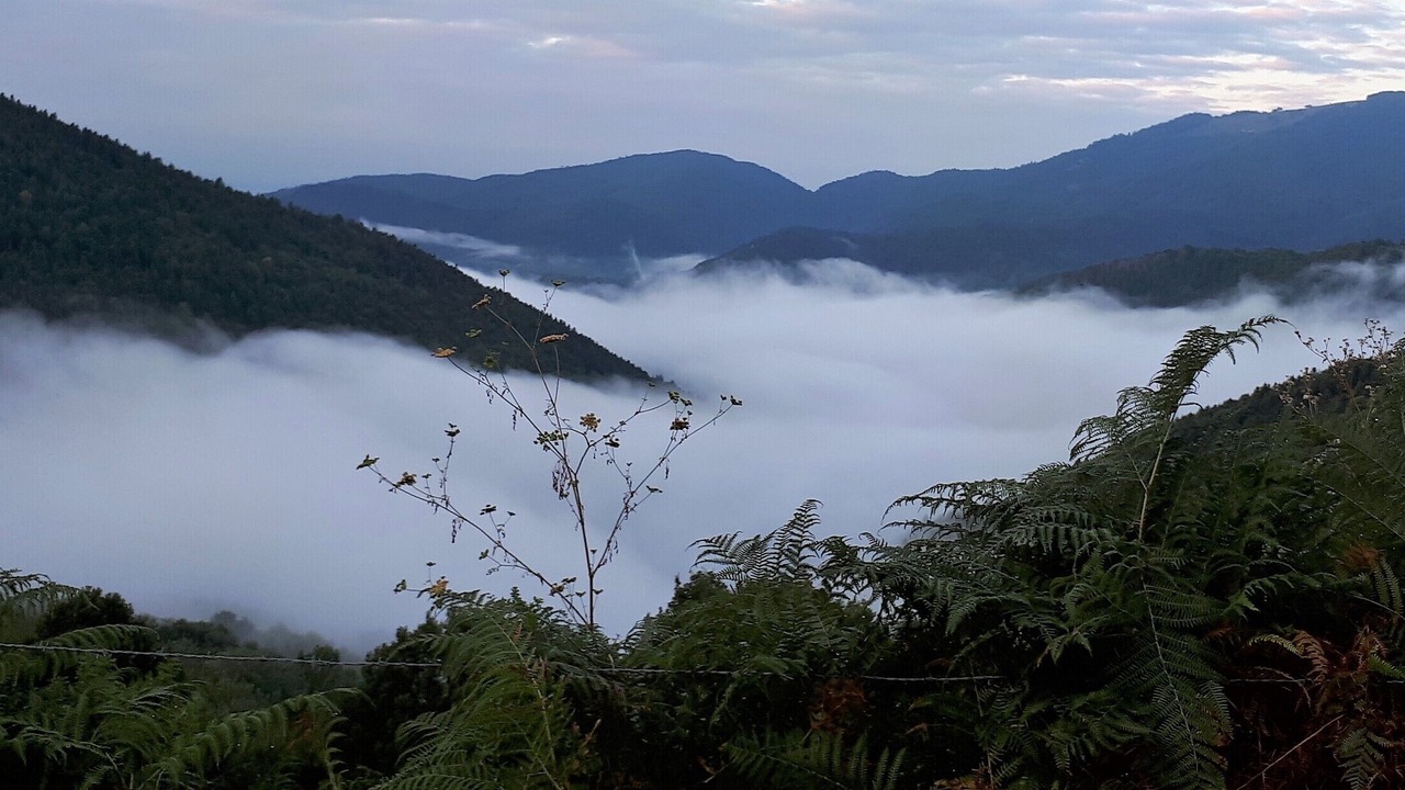 Photo of Others in Willer-sur-Thur