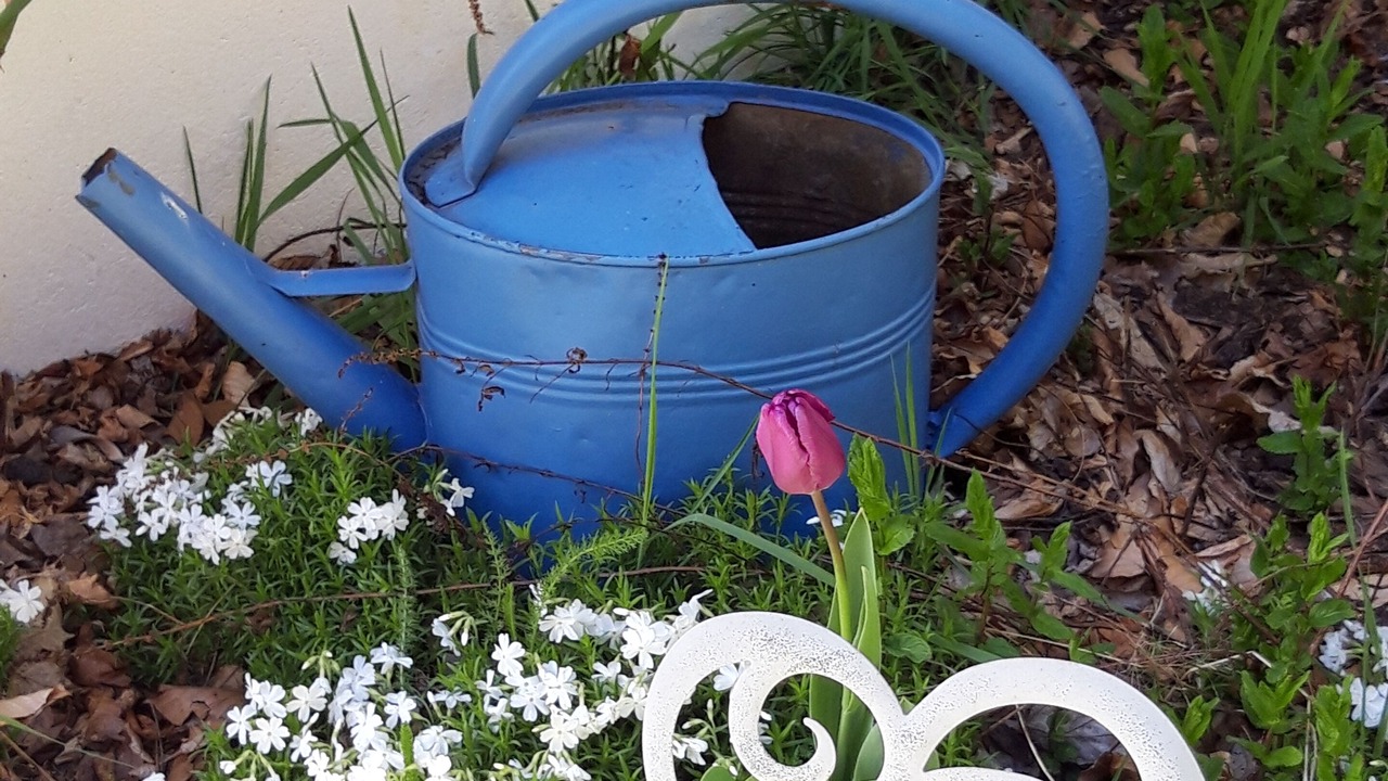 Photo of Outdoor in Willer-sur-Thur