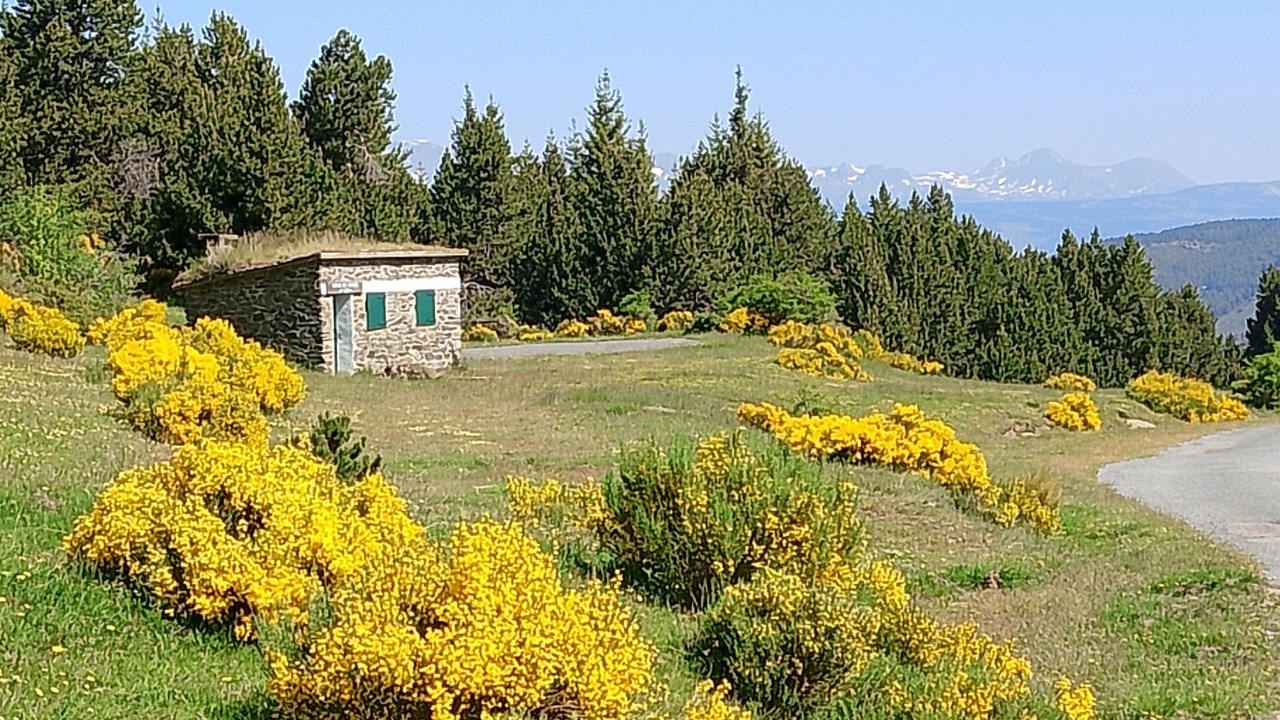 Photo of Others in Osseja