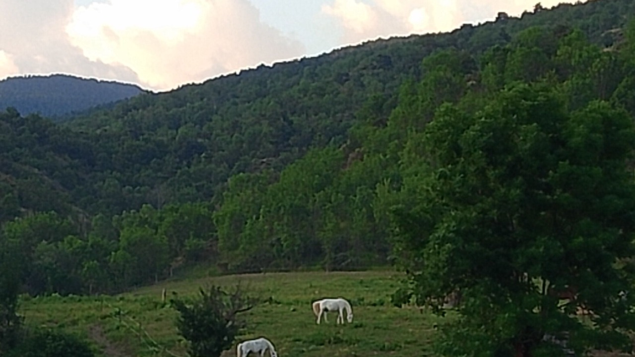 Photo of Others in Osseja