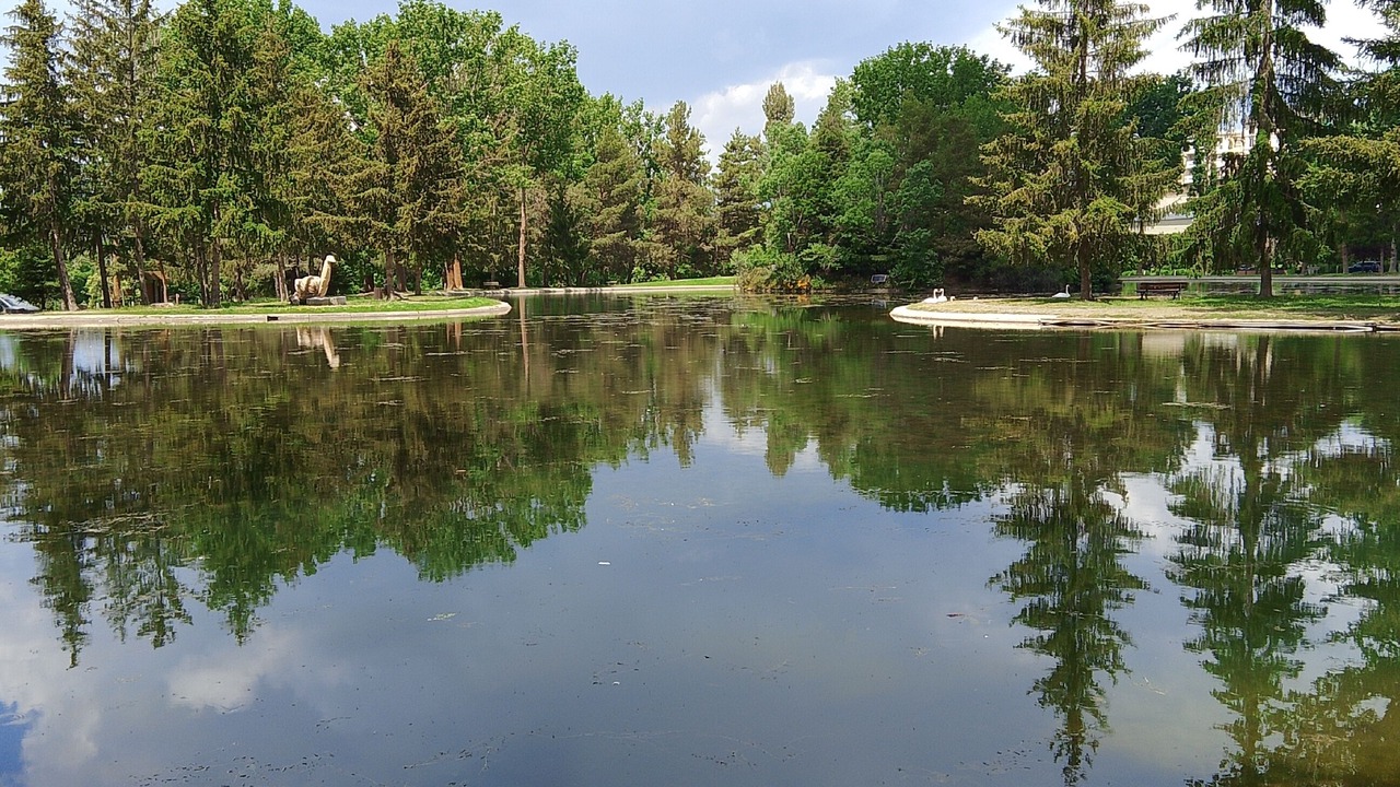 Photo of Outdoor in Osseja