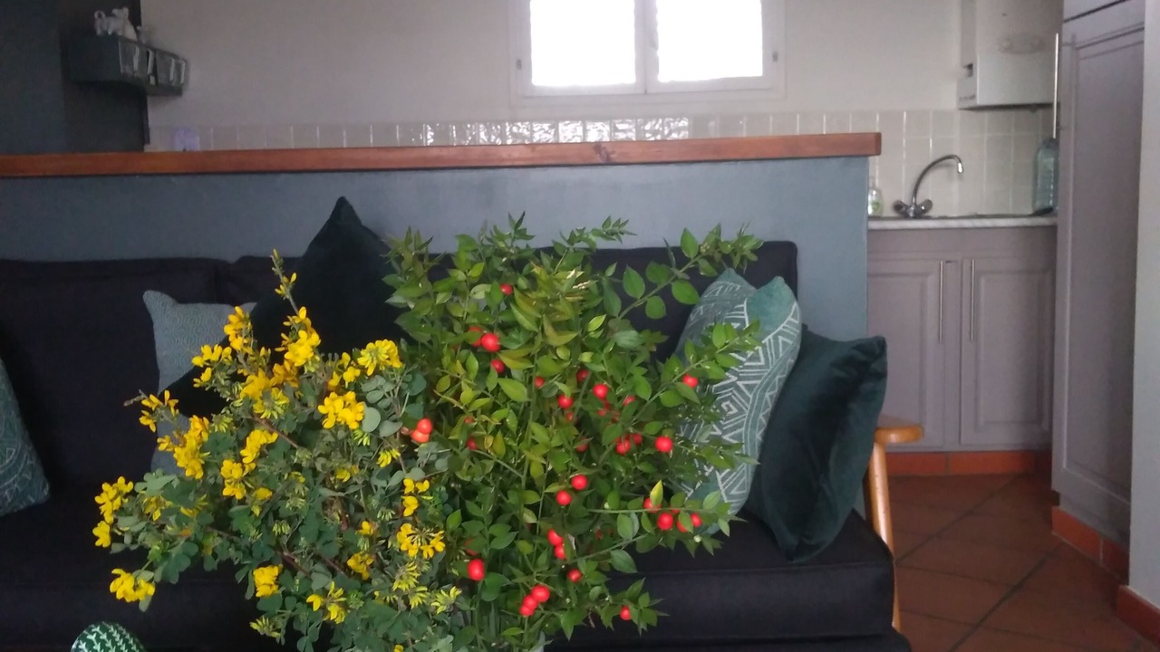 Photo of Livingroom in Aniane