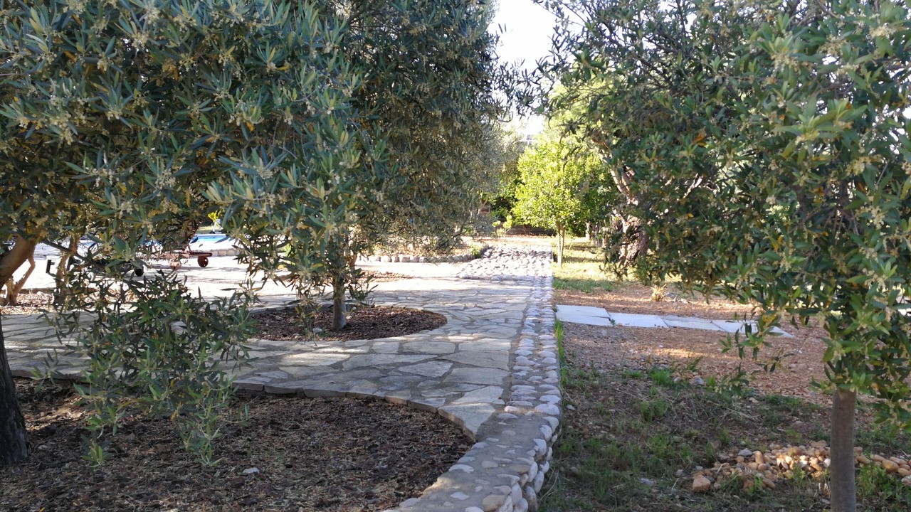 Photo of Outdoor in Aniane