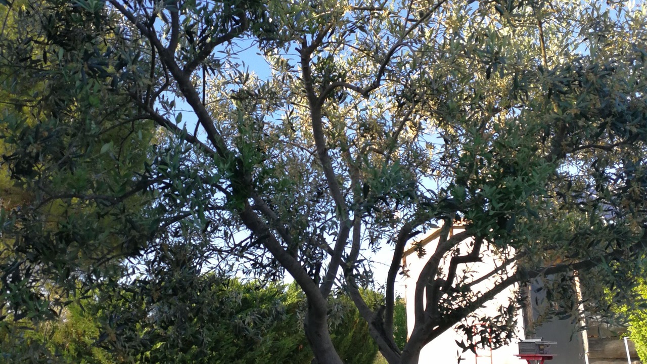 Photo of Outdoor in Aniane