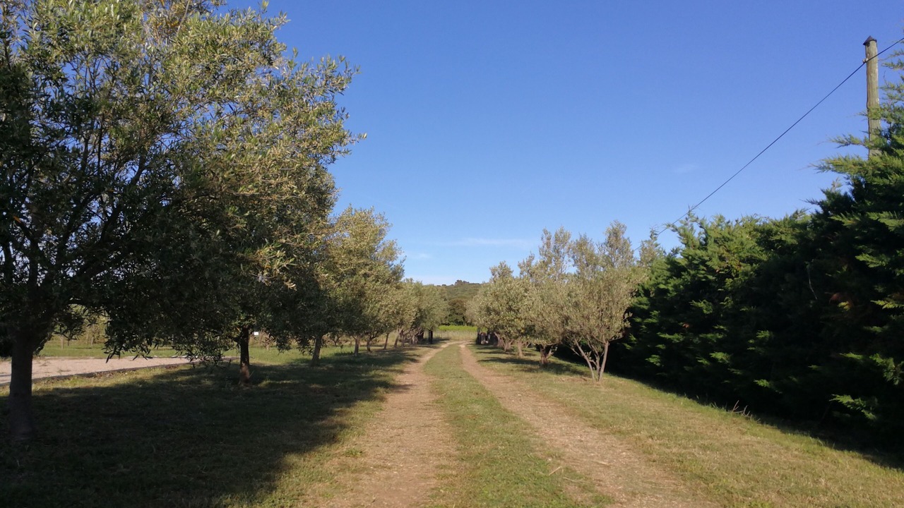 Photo of Outdoor in Aniane