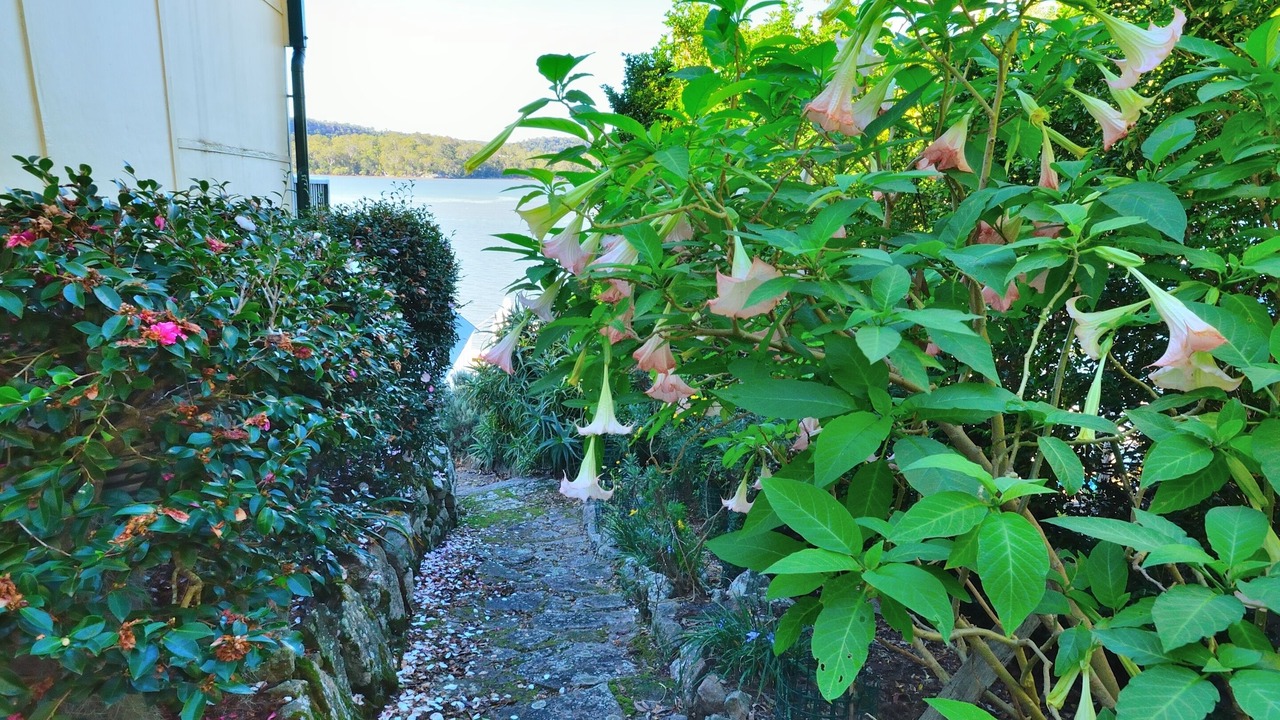 Photo of Outdoor in Bar Point