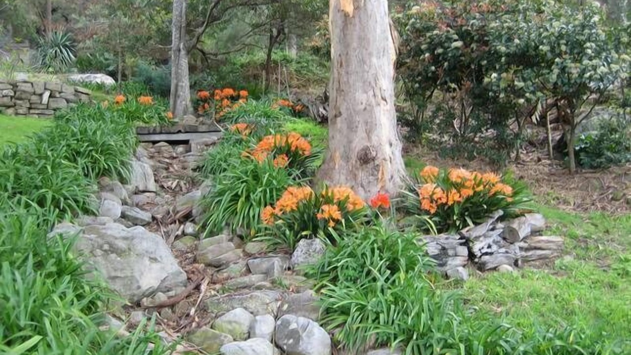 Photo of Others in Bar Point