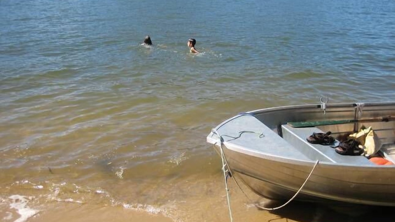 Photo of Others in Bar Point