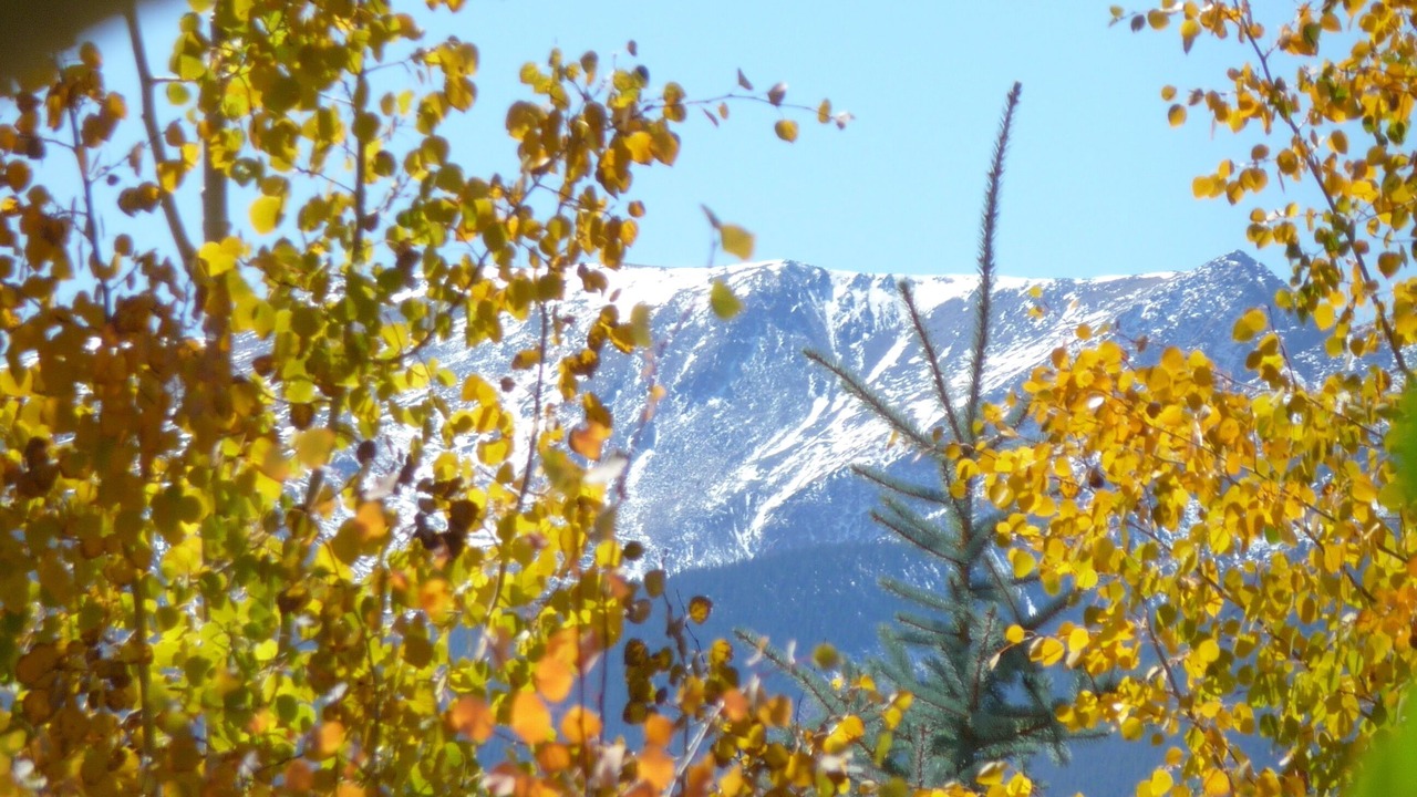 Photo of Others in Dillon