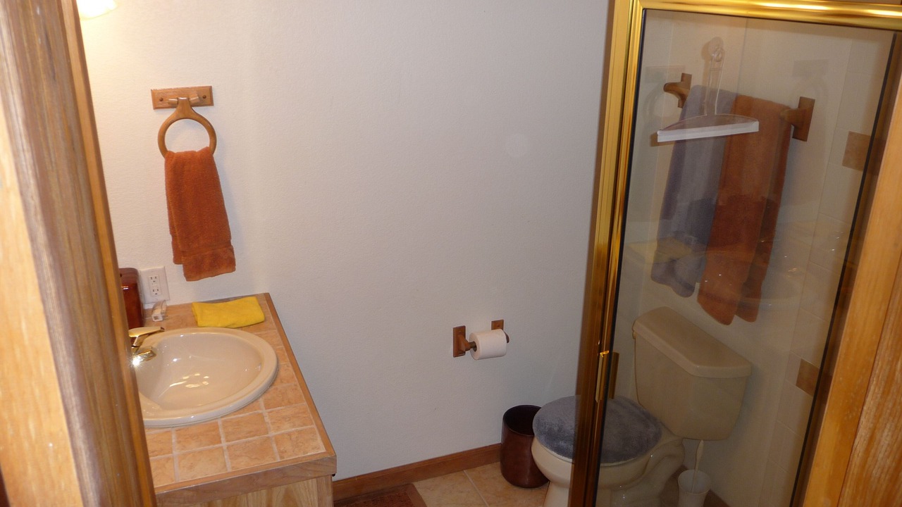 Photo of Bathroom in Dillon