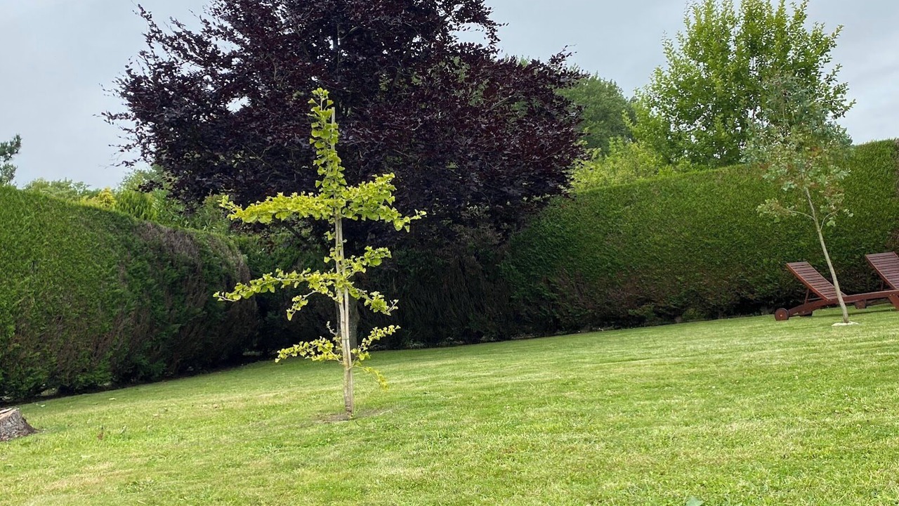 Photo of Outdoor in Lancheres