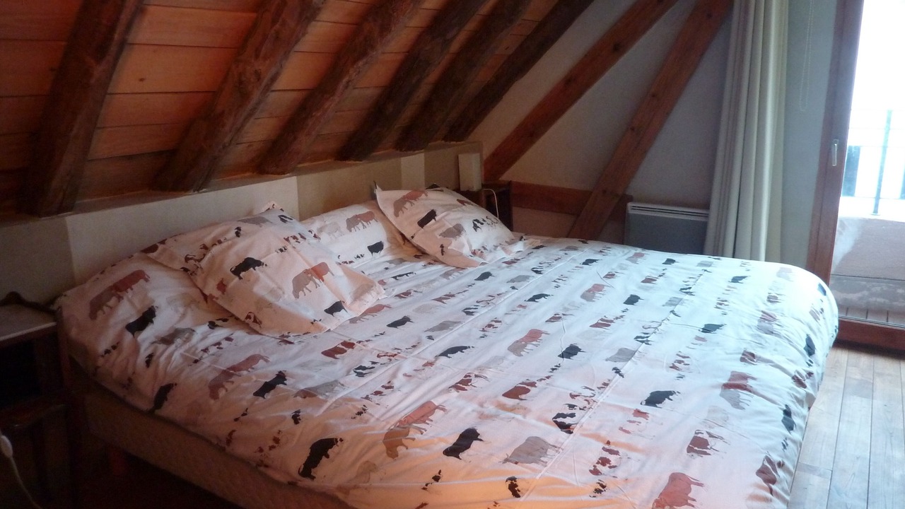 Photo of Bedroom in Saint-Aventin