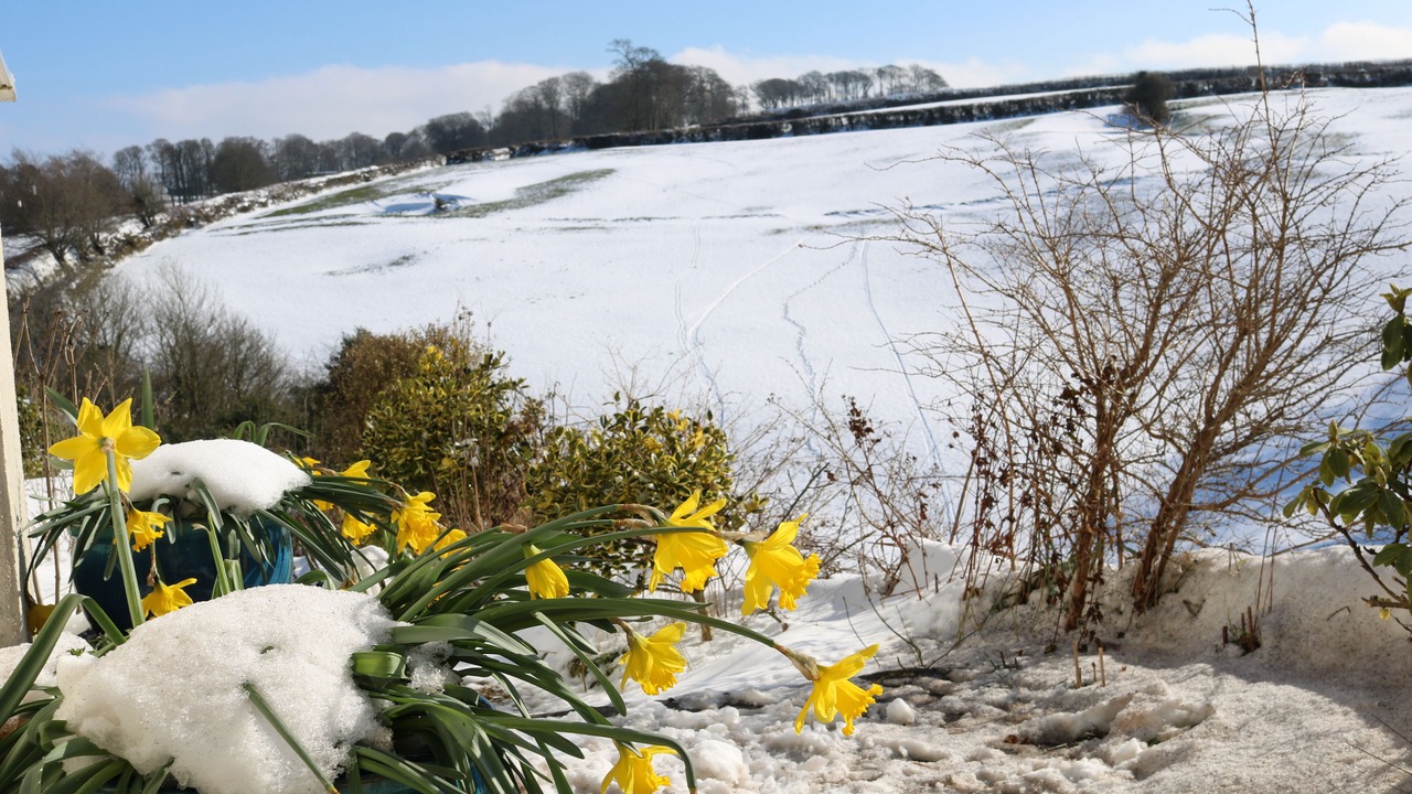 Photo of Outdoor in Blackawton