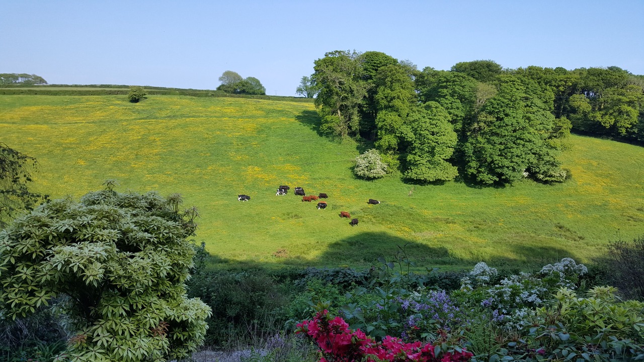 Photo of Others in Blackawton