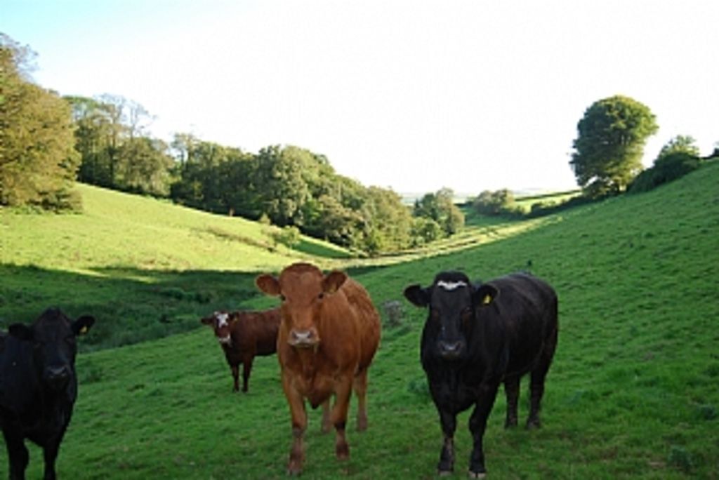 Photo of Others in Blackawton