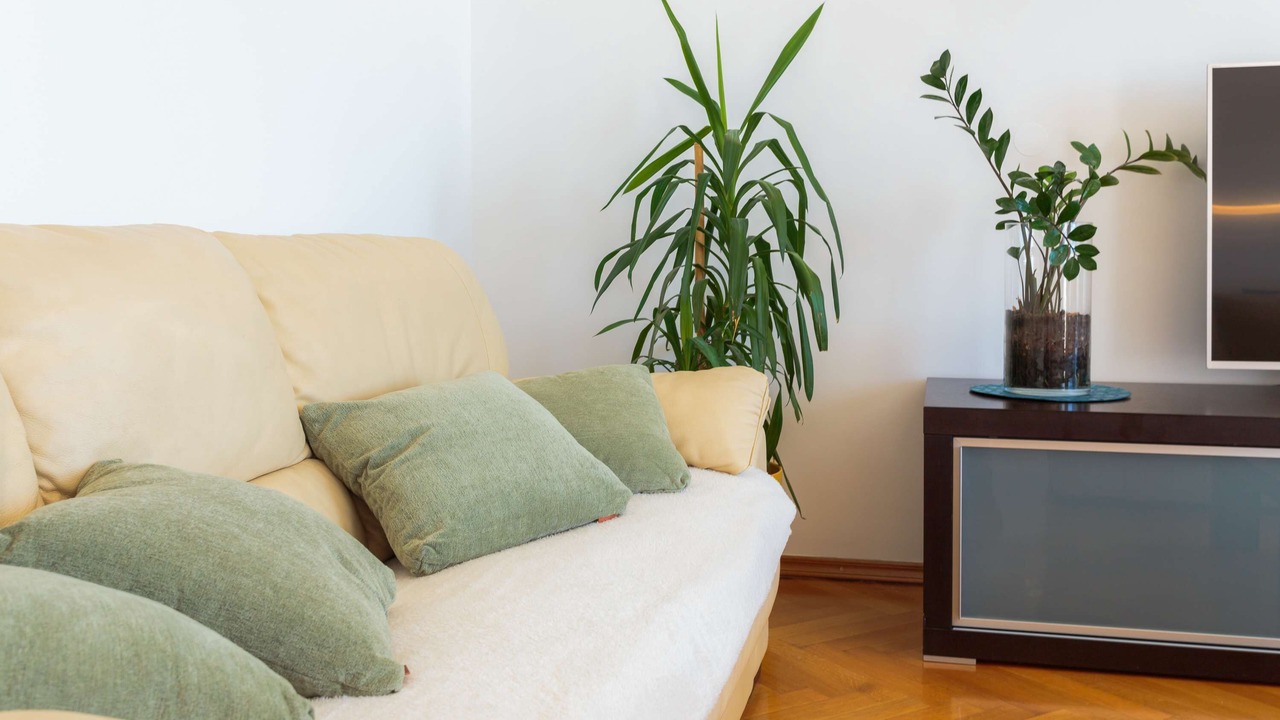 Photo of Livingroom in Znjan