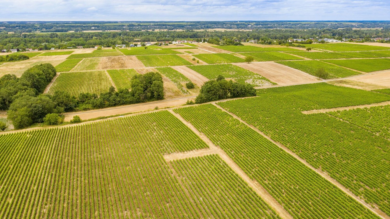 Photo of Outdoor in Montlouis-sur-Loire