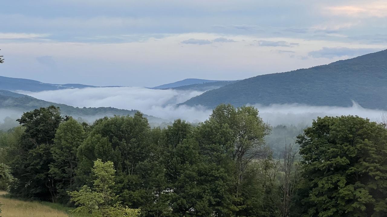 Photo of Others in Fleischmanns