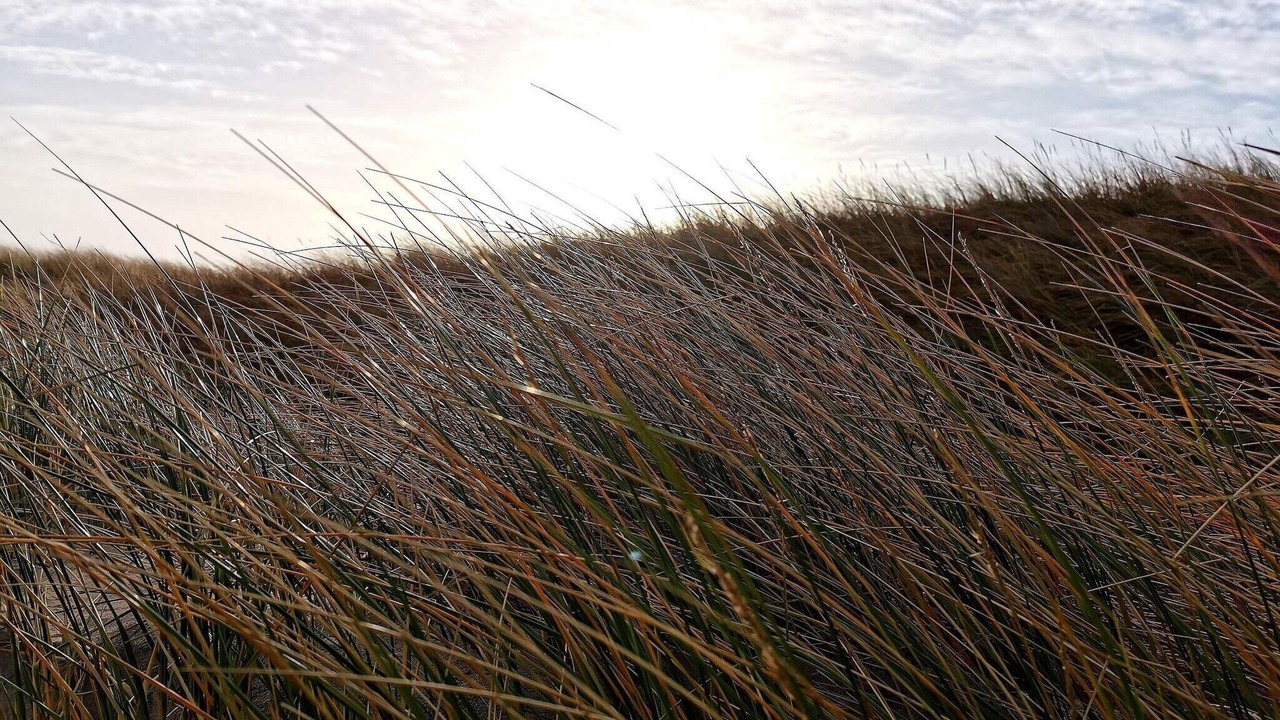 Photo of Others in Klegod Strand