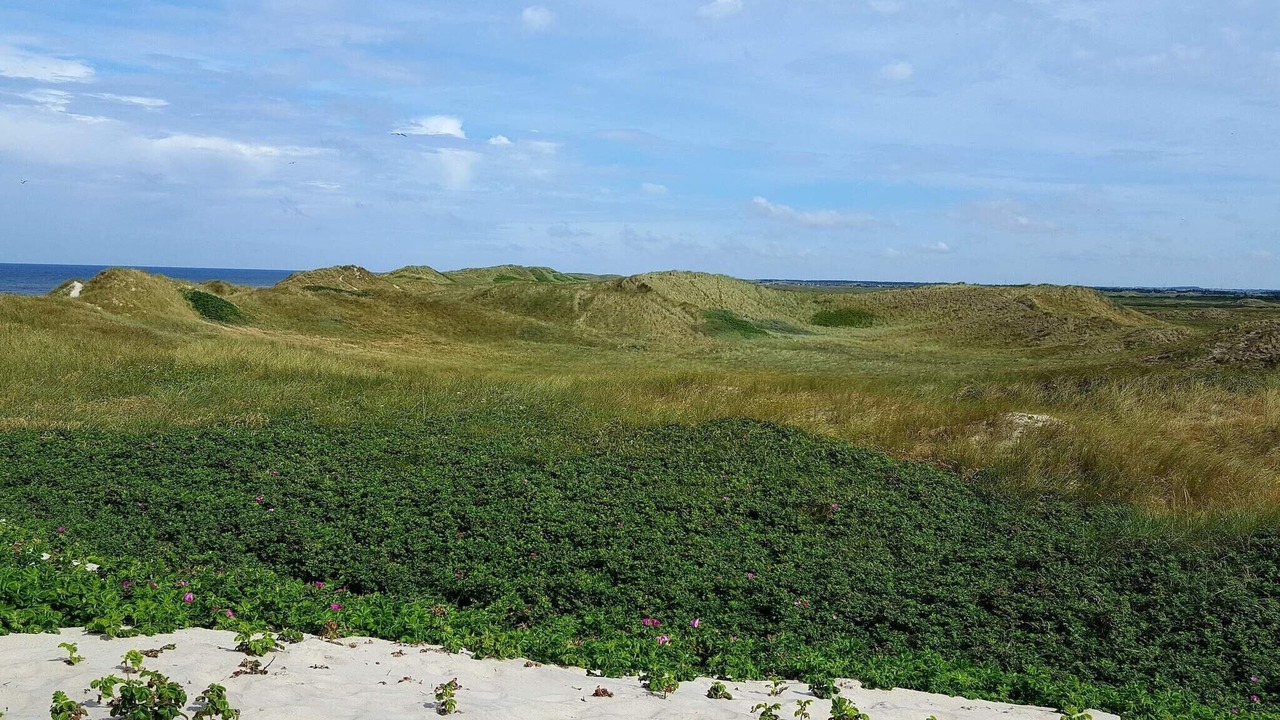 Photo of Others in Klegod Strand