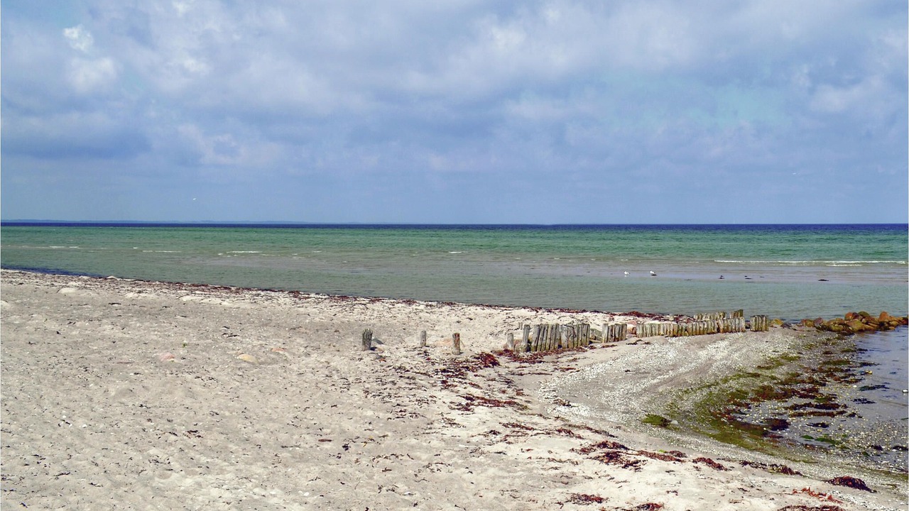 Photo of Others in Fjellerup Strand