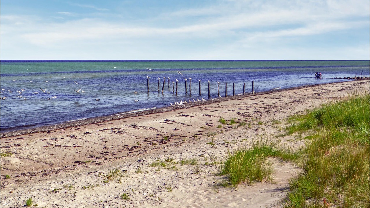 Photo of Others in Fjellerup Strand