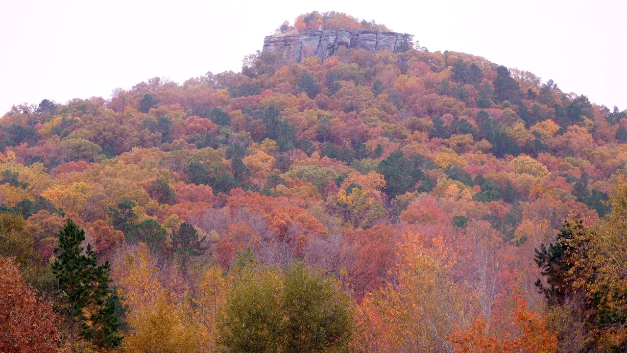 Photo of Outdoor in Pangburn