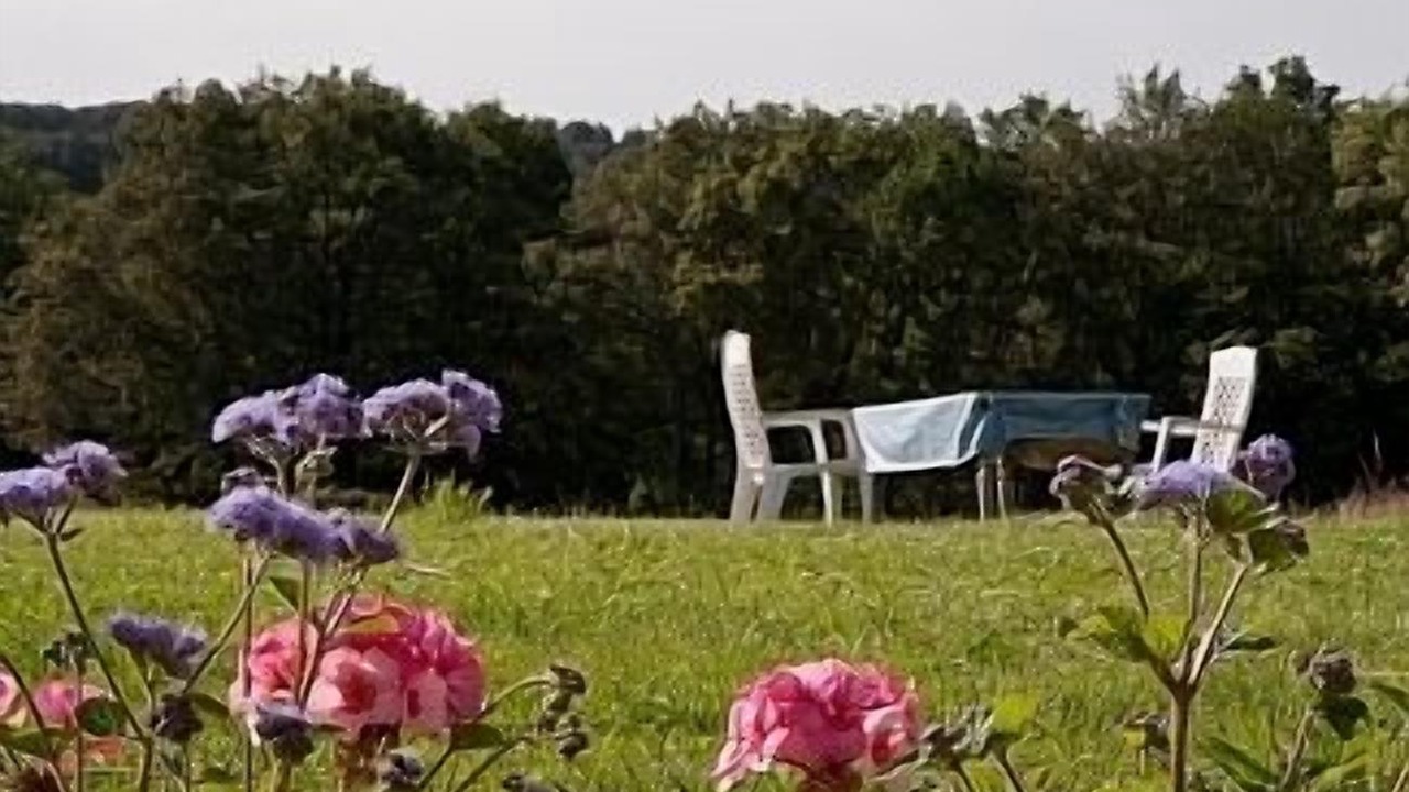 Photo of Outdoor in Saint-Martin-de-Fressengeas