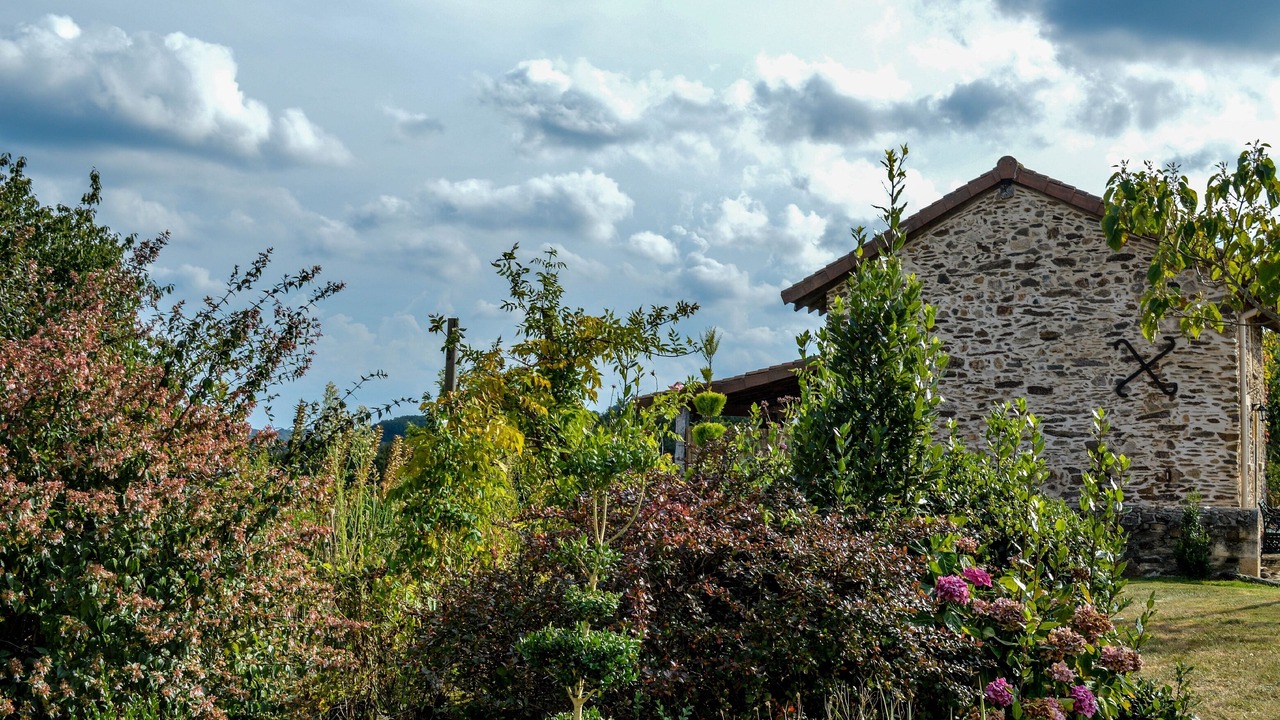 Photo of Others in Saint-Martin-de-Fressengeas