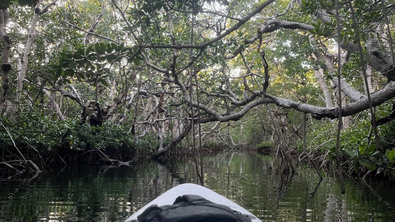 Photo of Others in Key Largo