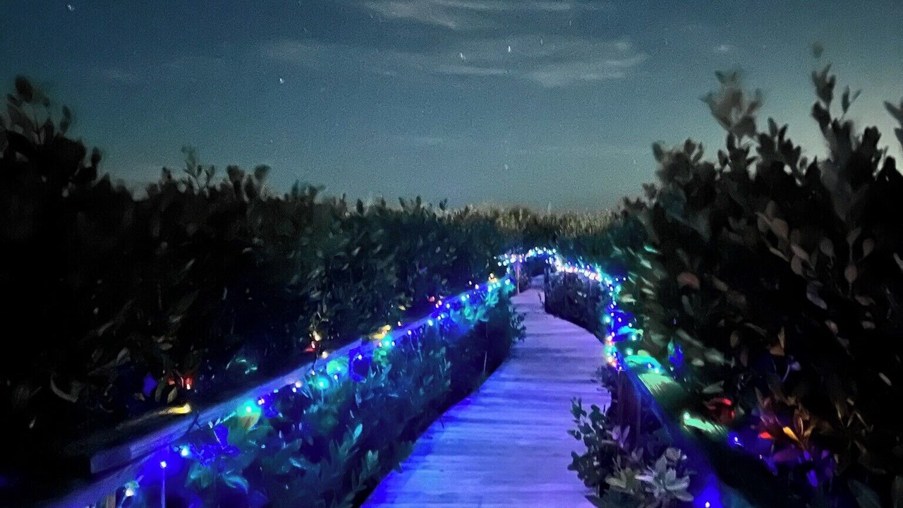 Photo of Others in Key Largo